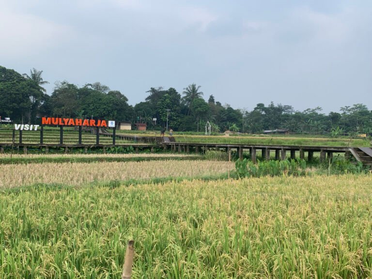 Kampung Tematik Desa Mulyaharja: Melestarikan Tradisi Pertanian Ramah Lingkungan di Era Modern