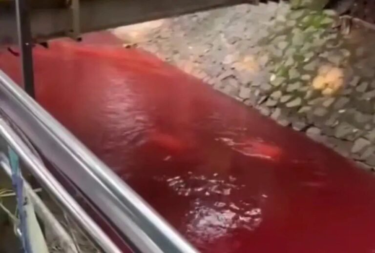 Kali di Rawa Buntu Tangsel Mendadak Merah Pekat, DLH dan Wali Kota Turun Tangan