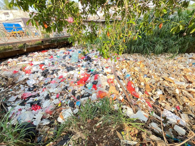 Hari Lingkungan Hidup Sedunia, Kali Baru Bojonggede Tenggelam dalam Sampah