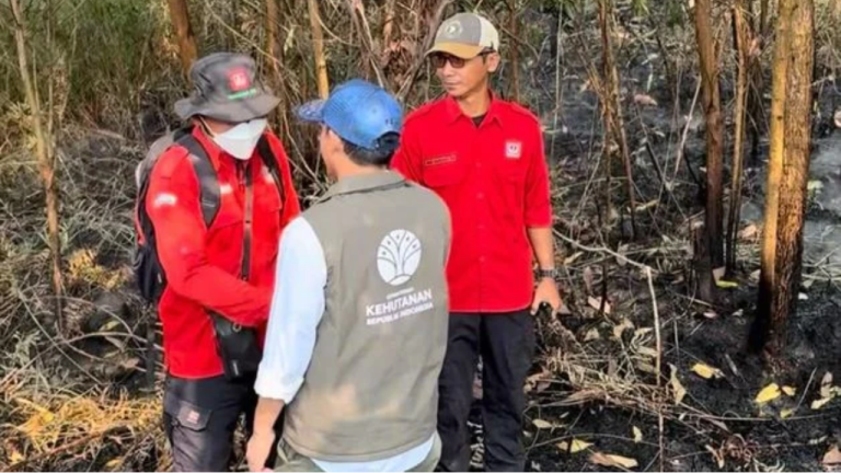 Menhut Cek Penanganan Karhutla di Banjar, Helikopter Dikerahkan